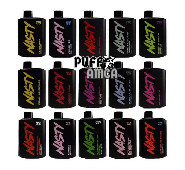 Nasty Fix Go 5000 Puff