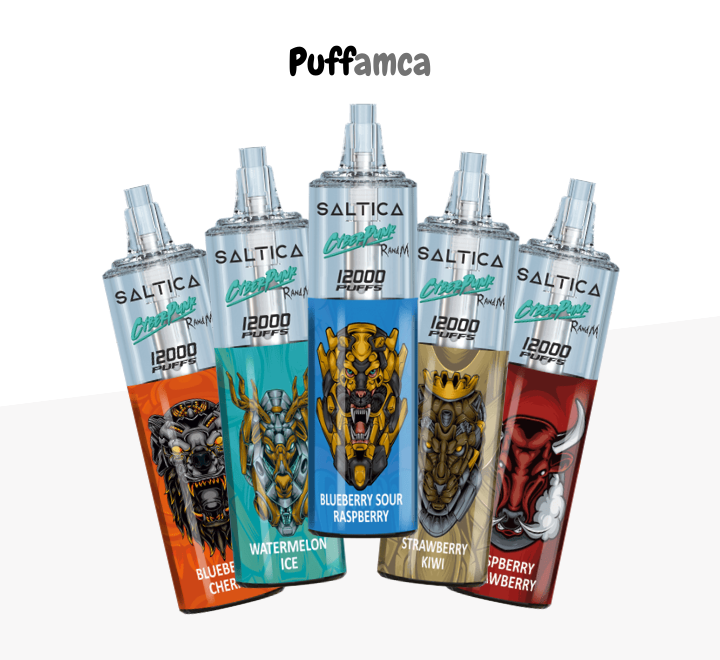 saltica 12000 puff puffamca.net.tr
