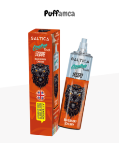saltica 12000 puff puffamca.net.tr