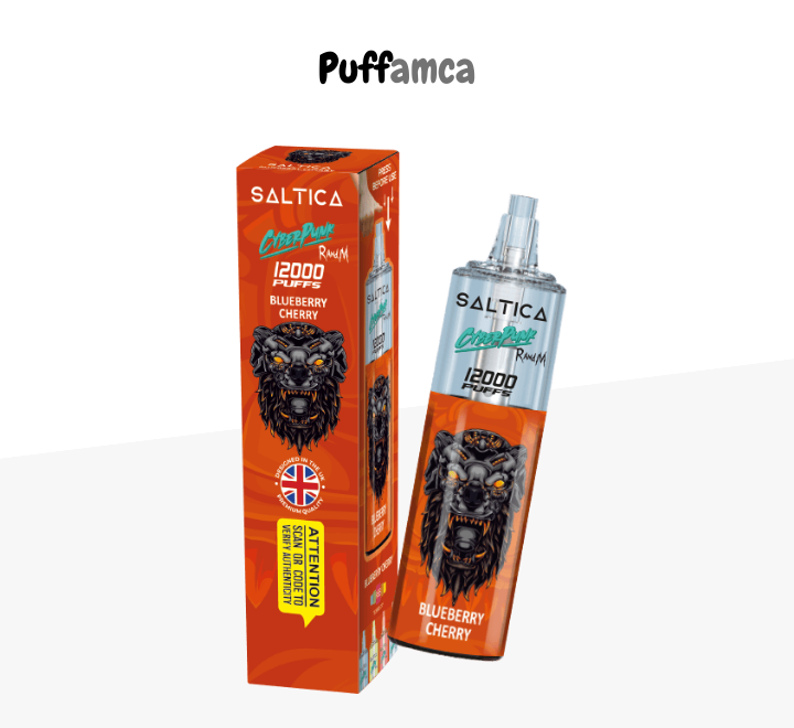 saltica 12000 puff puffamca.net.tr