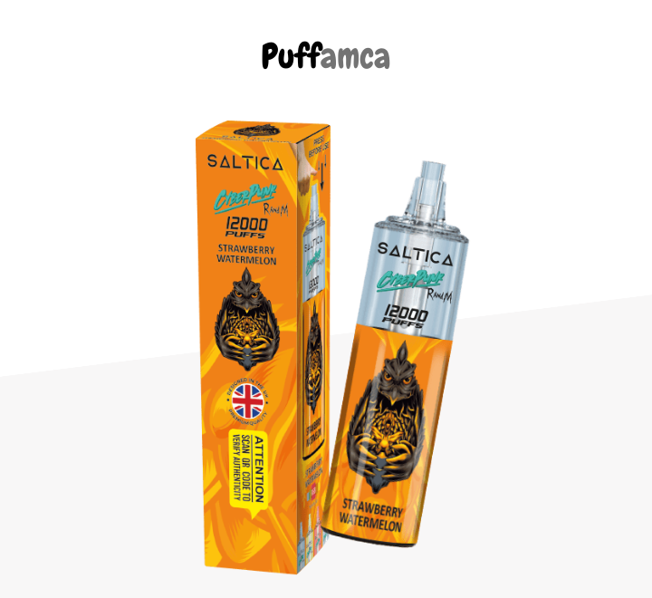 saltica 12000 puff puffamca.net.tr