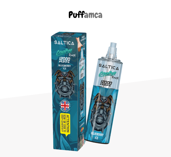 saltica 12000 puff puffamca.net.tr