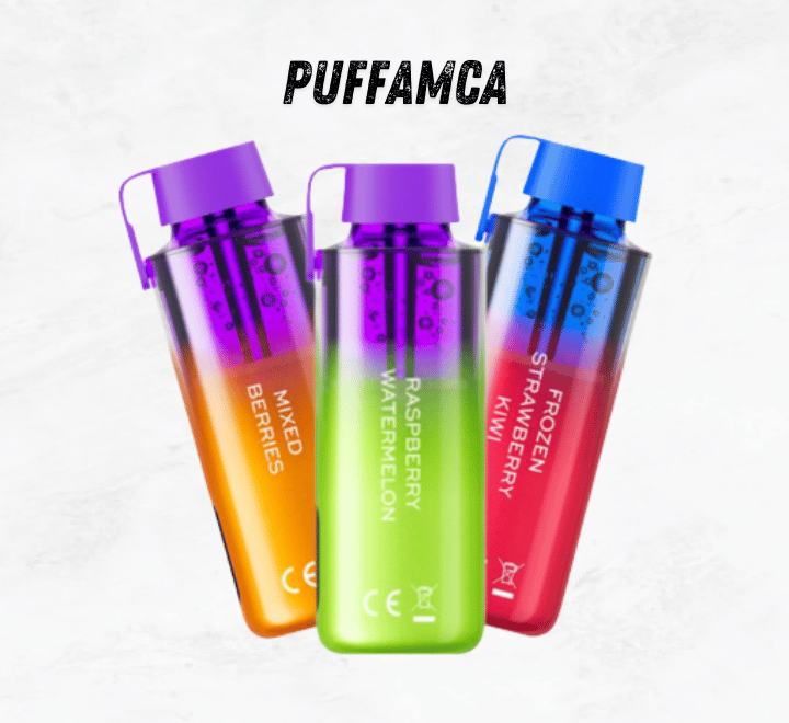 Vozol Neon 10000 Puff puffamca.net.tr